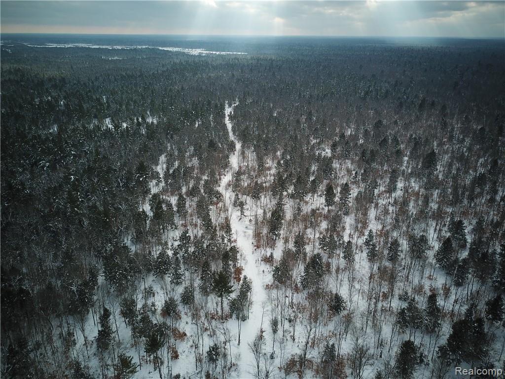6 Fox River Road Seney, MI 49883 - Photo 4 of 5 Gallery Image 4