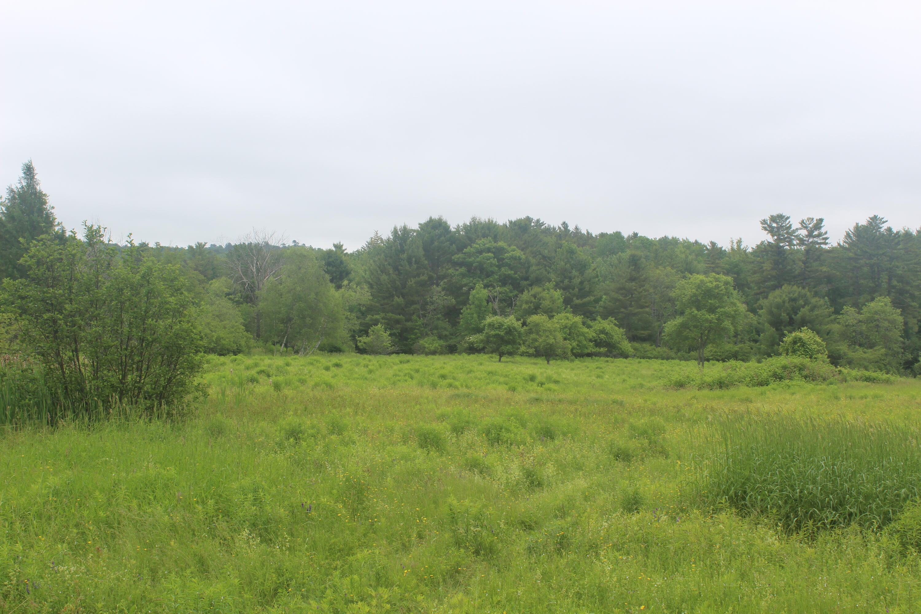 486 Johnson Mill Road Orrington, ME 04474 - Photo 12 of 20 IMG_1256