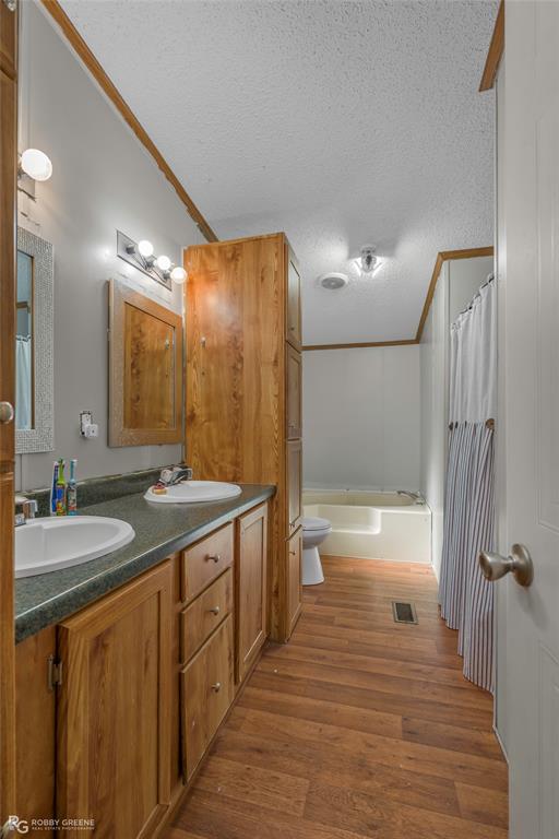 10660 Bowen Road Vivian, LA 71082 - Photo 16 of 27 a bathroom with a granite countertop sink a toilet a mirror and shower