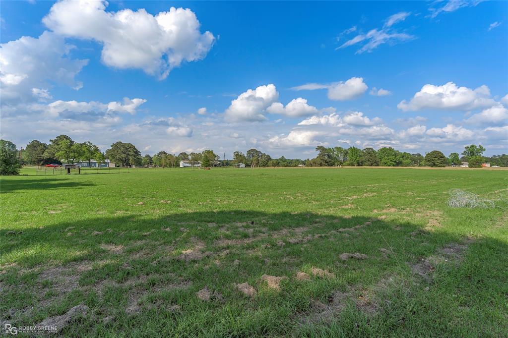 10660 Bowen Road Vivian, LA 71082 - Photo 23 of 27 a view of a big yard with plants and large trees