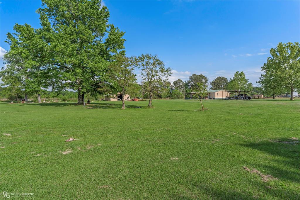10660 Bowen Road Vivian, LA 71082 - Photo 25 of 27 a view of a grassy field with trees