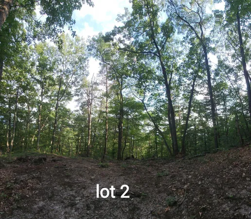 $106,600 | 2761 Reese Mountain Road, Elliston, VA 24087