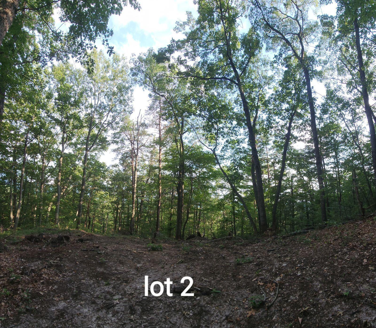 2761 Reese Mountain Road Elliston, VA 24087 - Photo 1 of 1 Lot 2