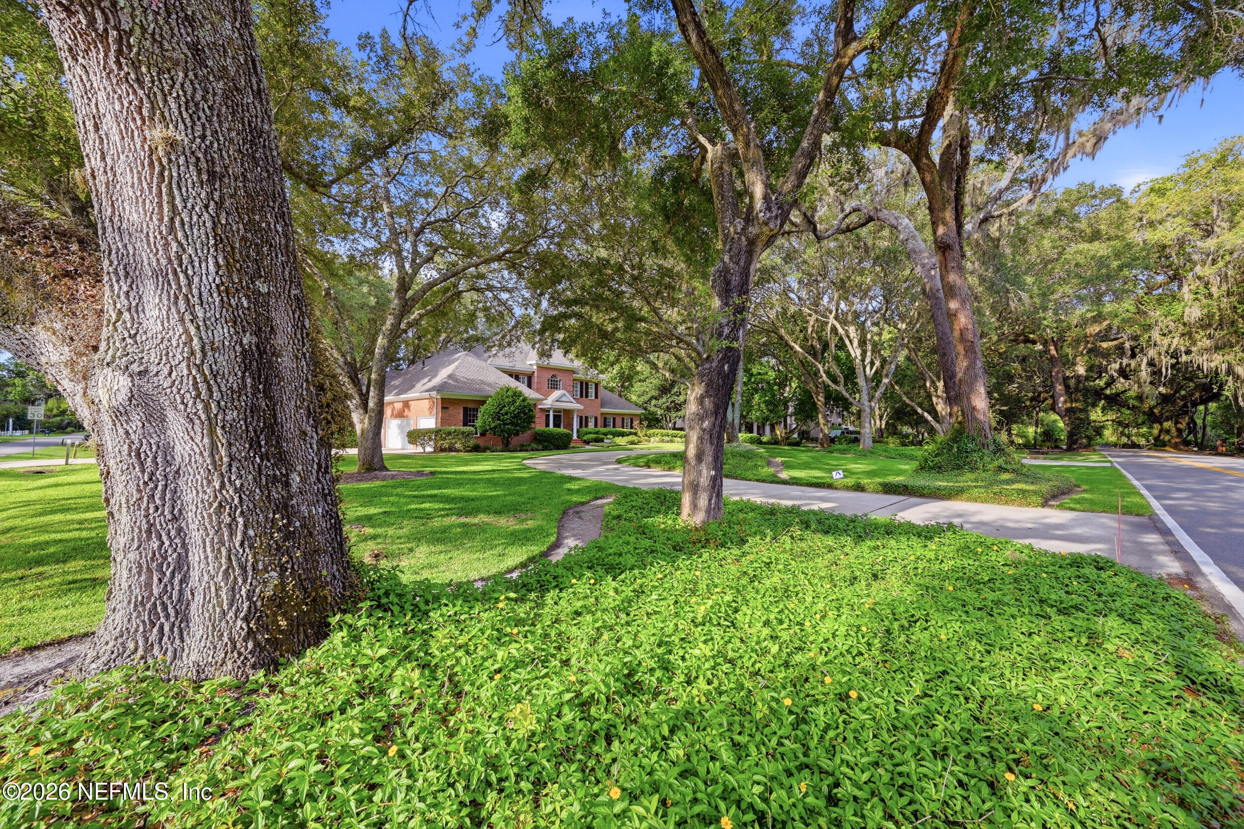 12641 Mandarin Road Jacksonville, FL 32223 - Photo 70 of 77 Oak Canopy