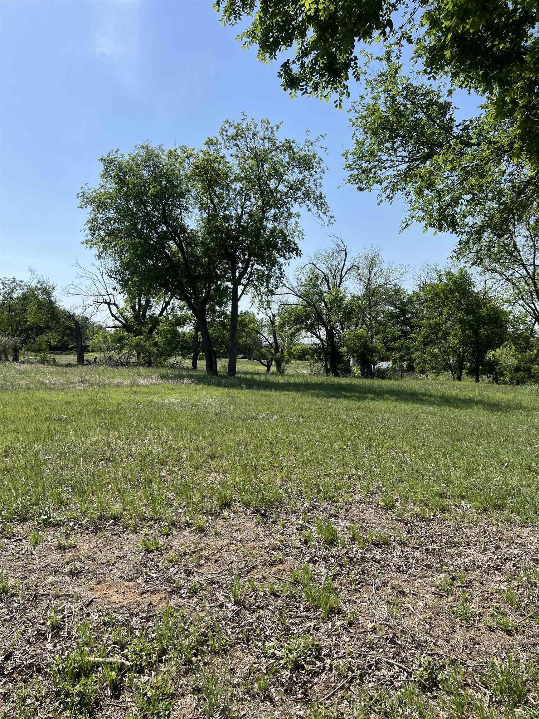 609 East Main Street Llano, TX 78643 - Photo 17 of 24 a view of a field with trees