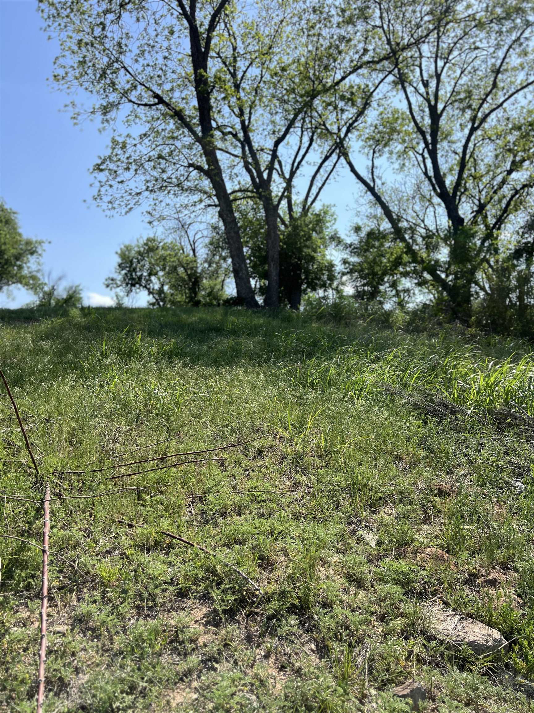 609 East Main Street Llano, TX 78643 - Photo 9 of 24 a view of a garden with an trees