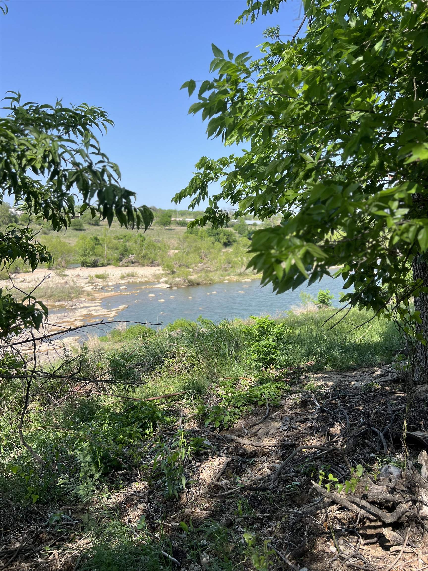 609 East Main Street Llano, TX 78643 - Photo 10 of 24 a view of a yard with plants and a tree