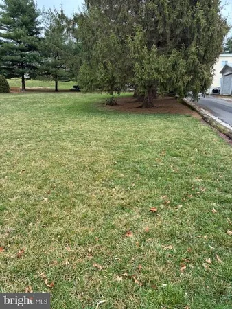 a view of park with trees