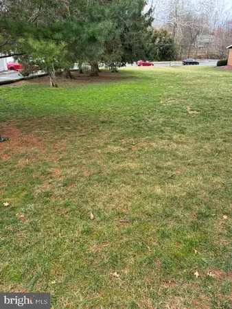 a view of a field with grass and trees