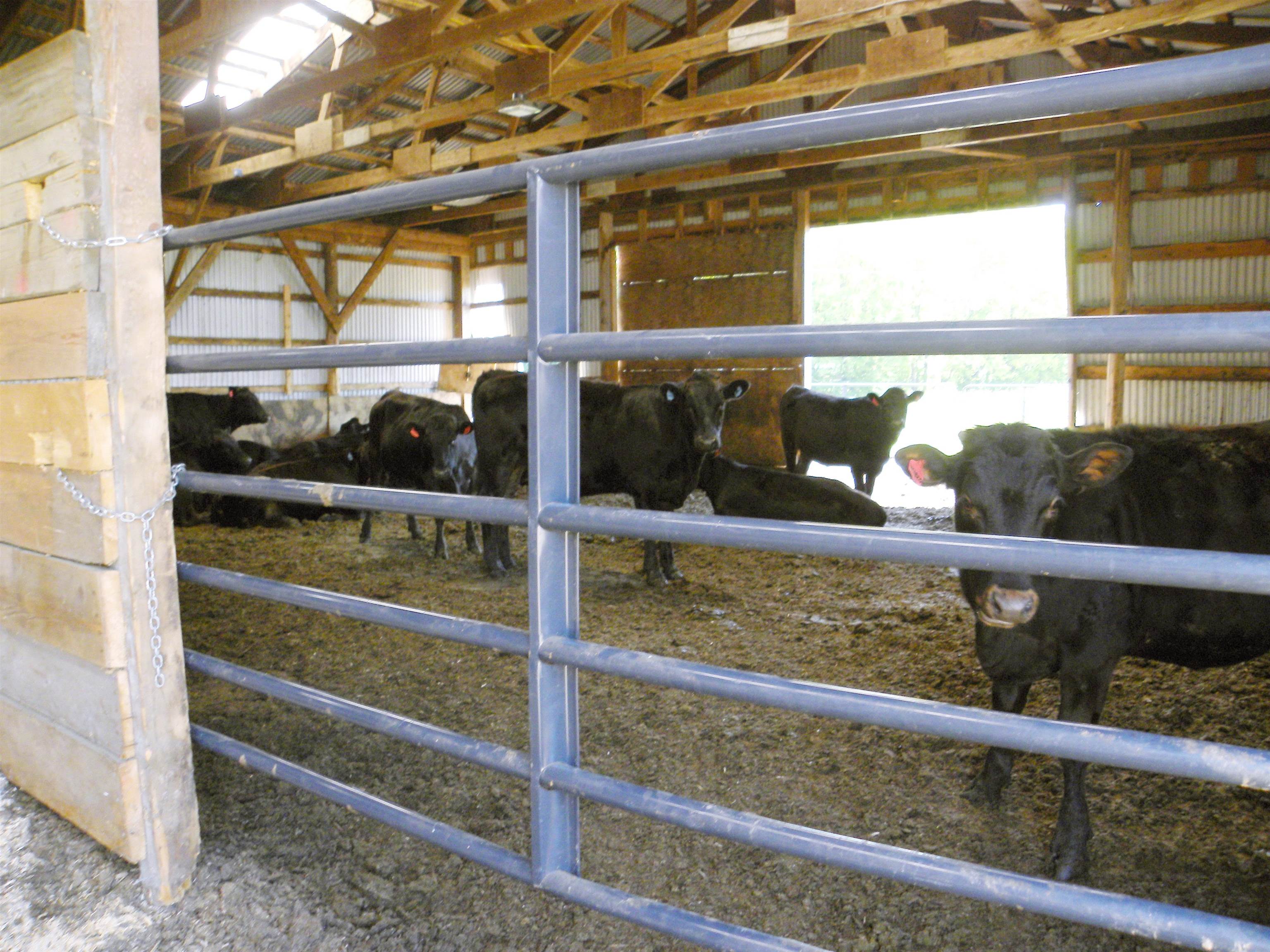 758 Herrick Road Derby, VT 05829 - Photo 3 of 40