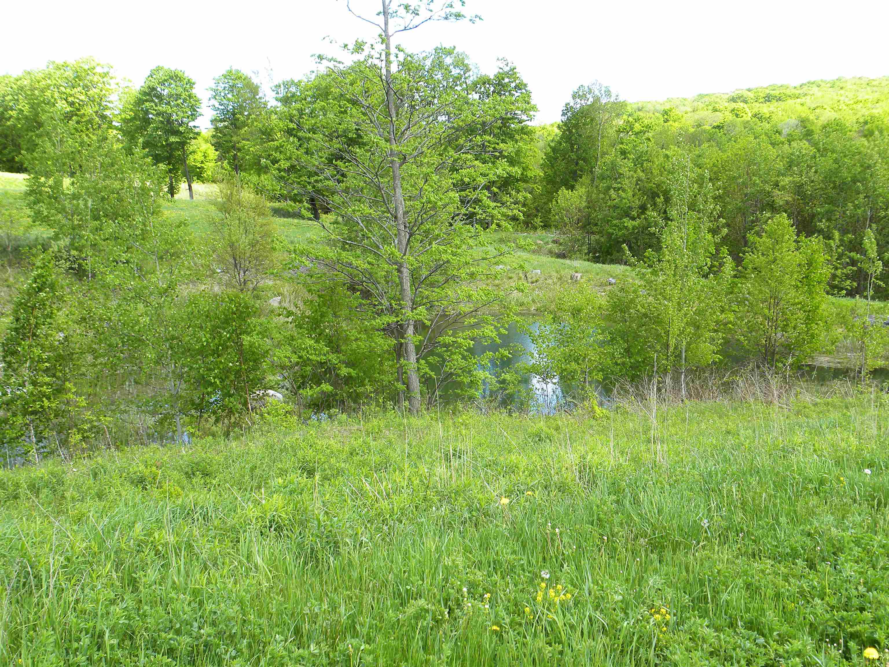 758 Herrick Road Derby, VT 05829 - Photo 33 of 40