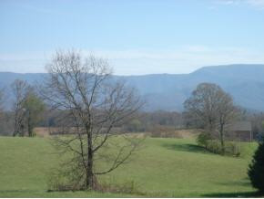 Lot 26 Stockton Road Chuckey, TN 37641 - Photo 2 of 7 Photo 2