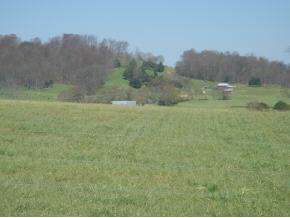 Lot 26 Stockton Road Chuckey, TN 37641 - Photo 4 of 7 Photo 4