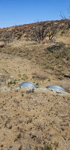 a view of an ocean beach