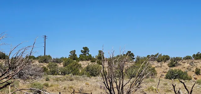 $352,500 | 98th Street East, Juniper Hills, CA 93543