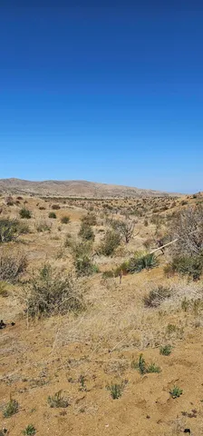 a view of ocean beach
