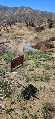 a view of a yard with an outdoor space