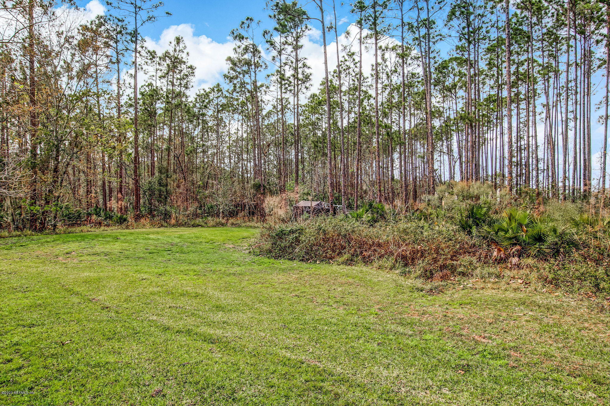 946 Browns Road Middleburg, FL 32068 - Photo 49 of 53 BACKYARD VIEW 1