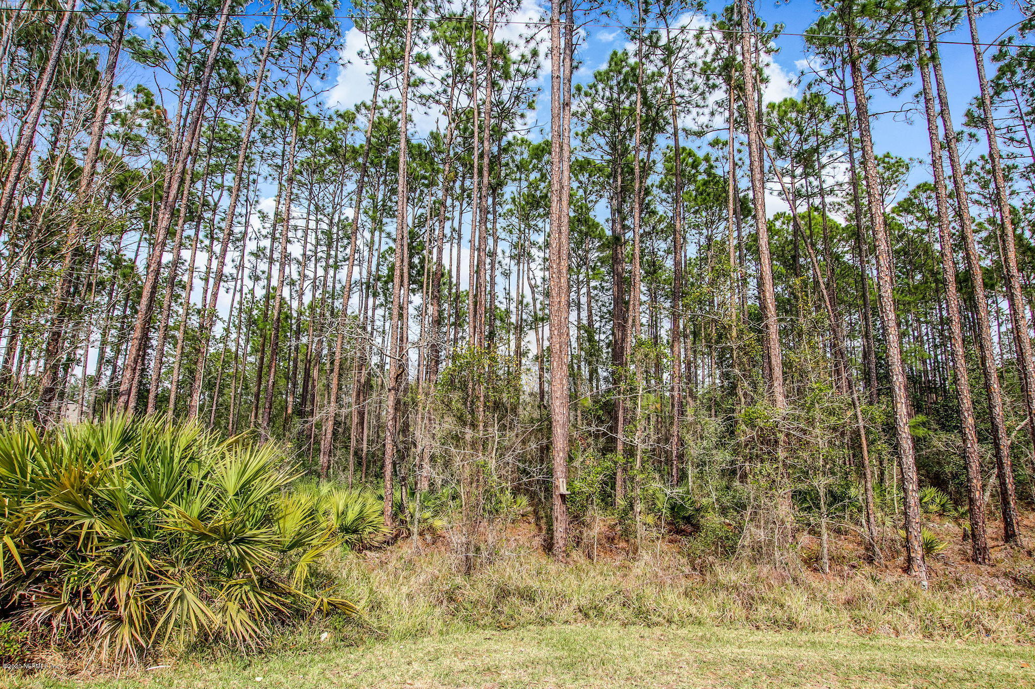 946 Browns Road Middleburg, FL 32068 - Photo 50 of 53 BACKYARD VIEW 2