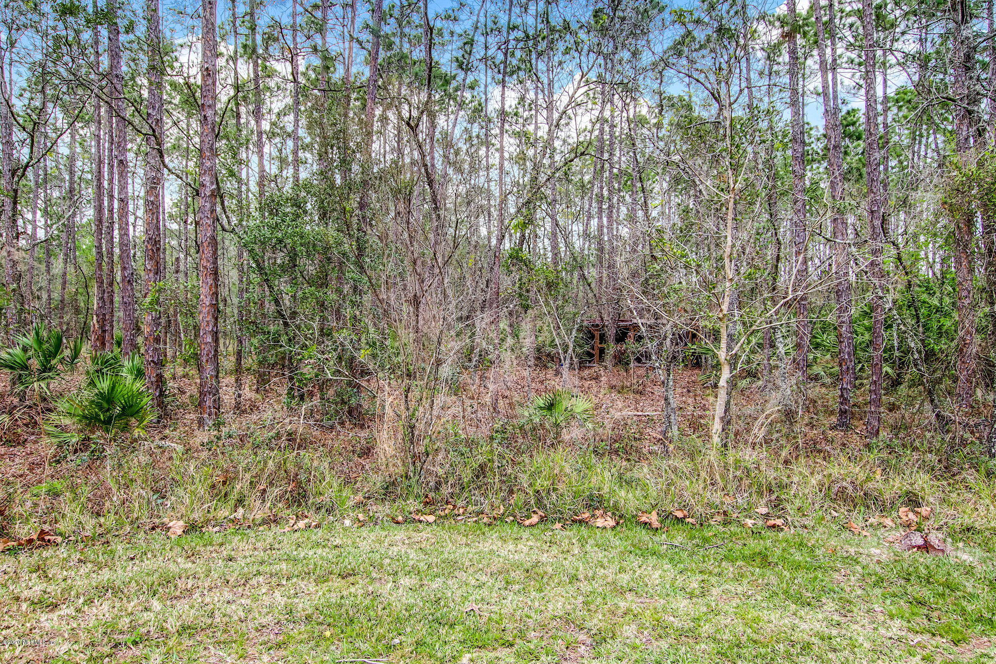 946 Browns Road Middleburg, FL 32068 - Photo 51 of 53 BACKYARD VIEW 3