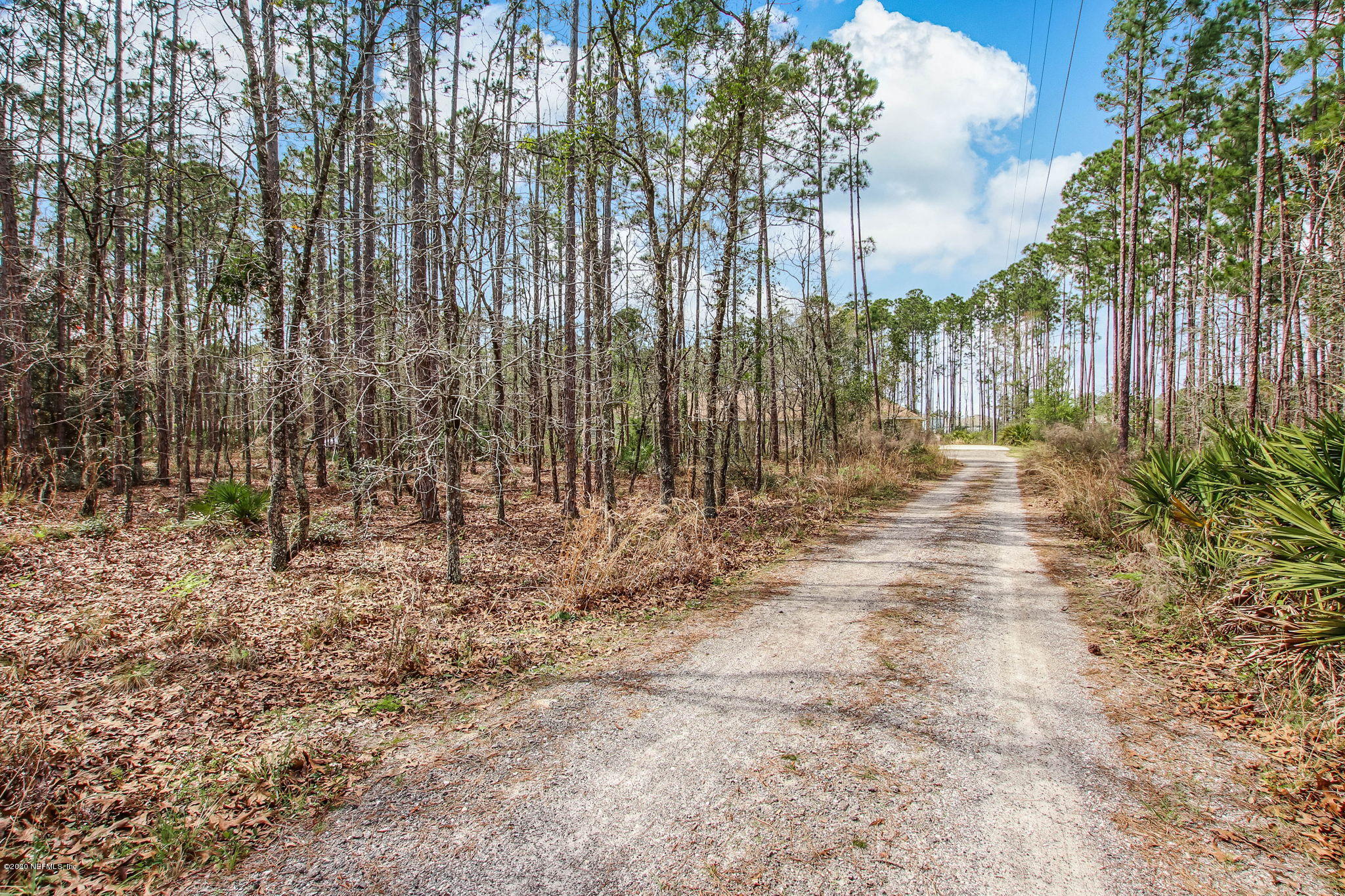 946 Browns Road Middleburg, FL 32068 - Photo 8 of 53 5.82 ACRES
