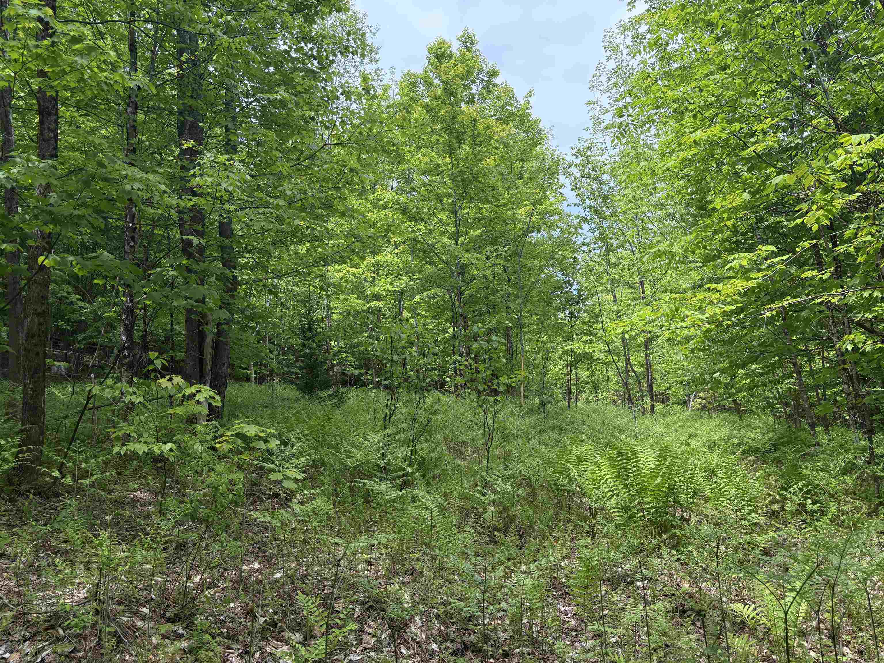 0 Old Pond Hill Road Lunenburg, VT 05906 - Photo 27 of 60 Gallery Image 27