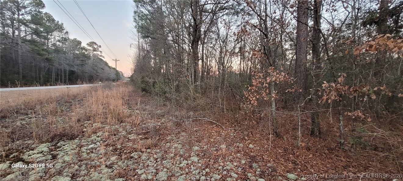 0 Melie Lee Road, Unit 1 Fayetteville, NC 28312 - Photo 2 of 10