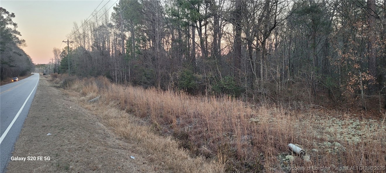 0 Melie Lee Road, Unit 1 Fayetteville, NC 28312 - Photo 8 of 10