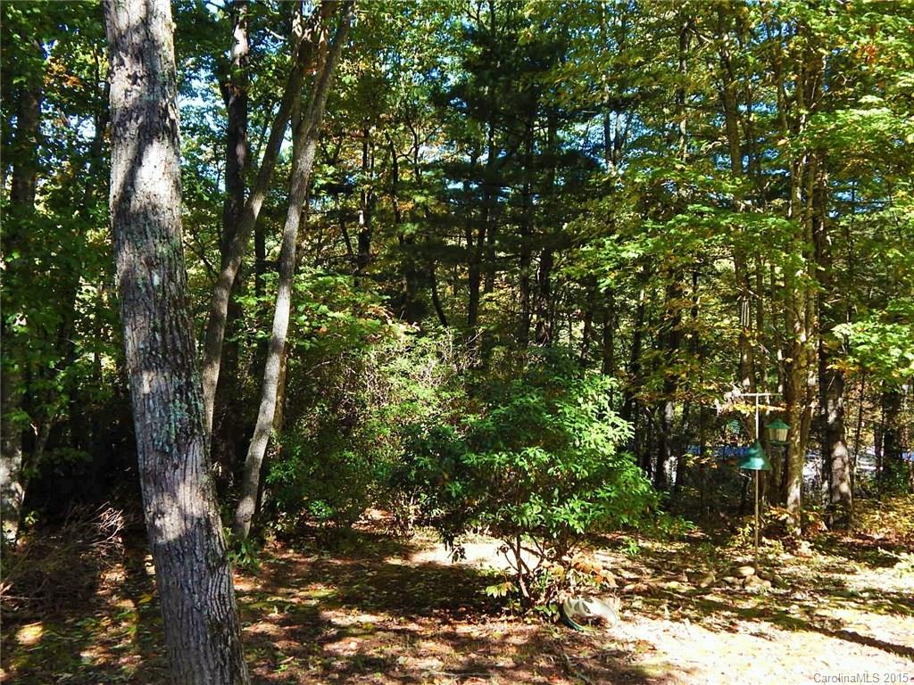 493 Tanasee Gap Road Balsam Grove, NC 28708 - Photo 20 of 22 Gallery Image 20