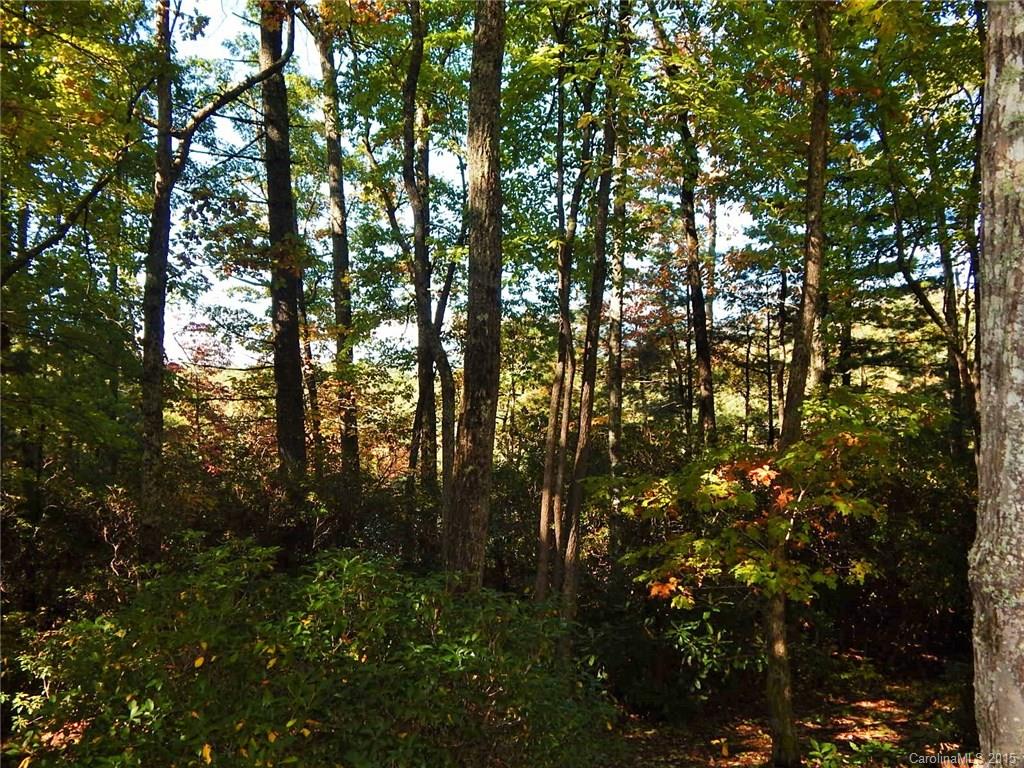 493 Tanasee Gap Road Balsam Grove, NC 28708 - Photo 21 of 22 Gallery Image 21