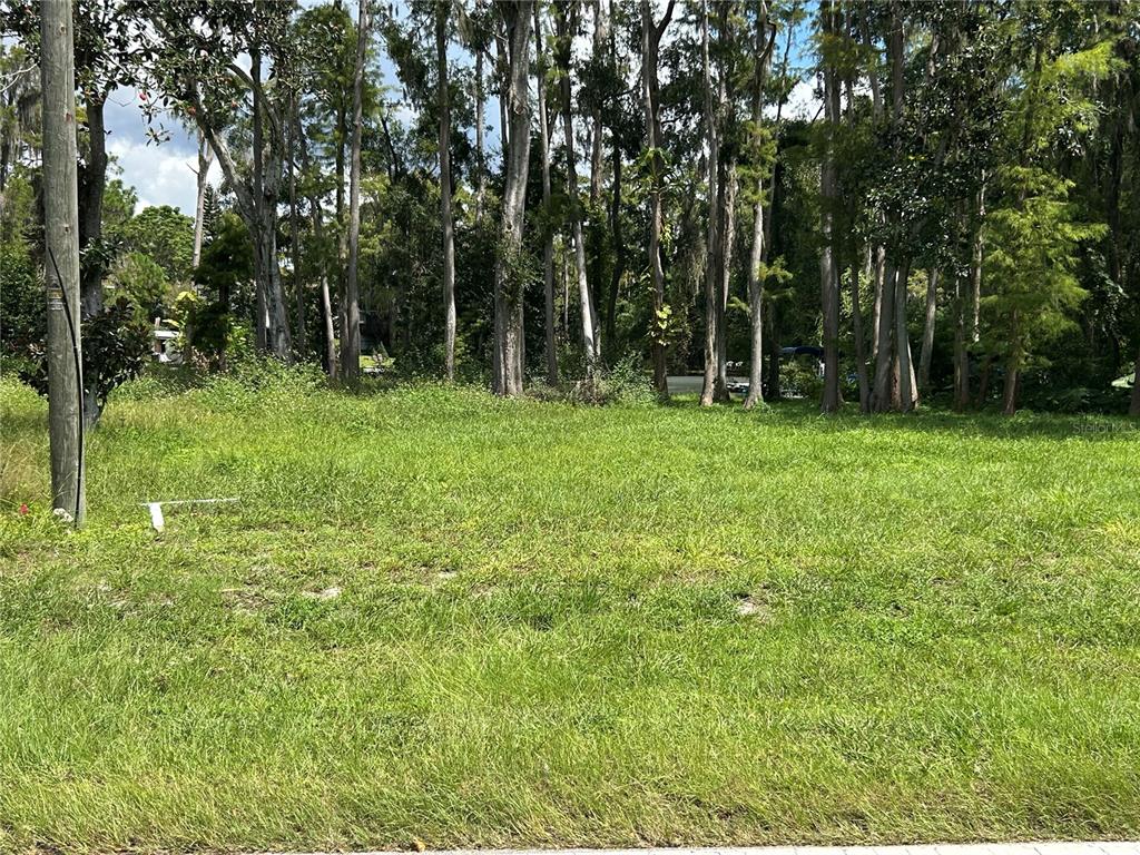 12629 Lacey Drive New Port Richey, FL 34654 - Photo 2 of 5 a view of a lush green space