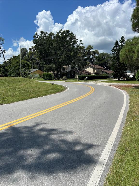 12629 Lacey Drive New Port Richey, FL 34654 - Photo 5 of 5 a view of outdoor space yard and swimming pool