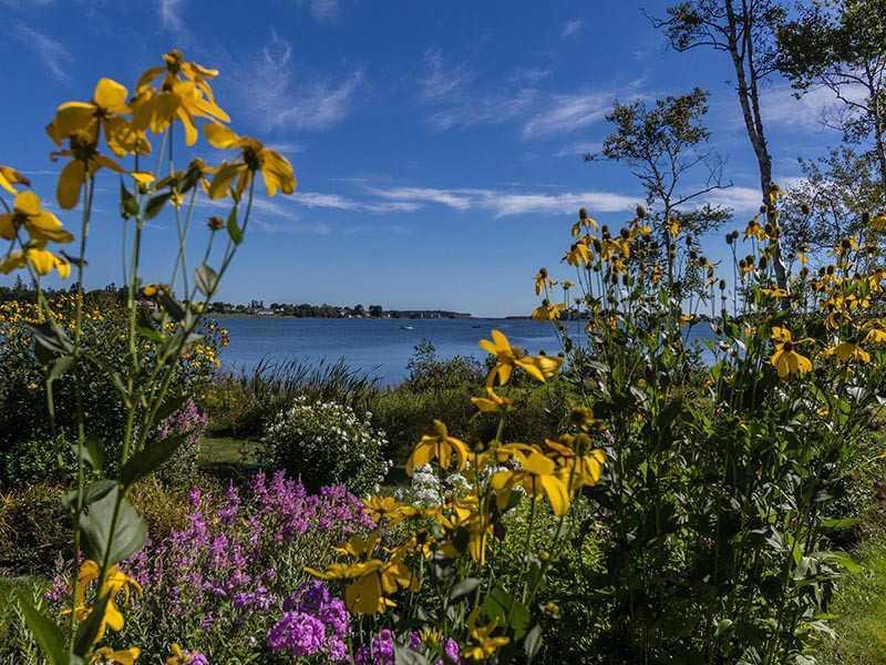 125 Ash Point Road Harpswell, ME 04079 - Photo 26 of 31 Yard/Garden.