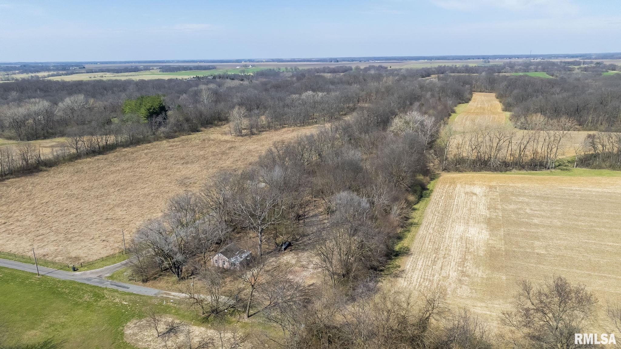 8543 Frey Road Pleasant Plains, IL 62677 - Photo 11 of 13