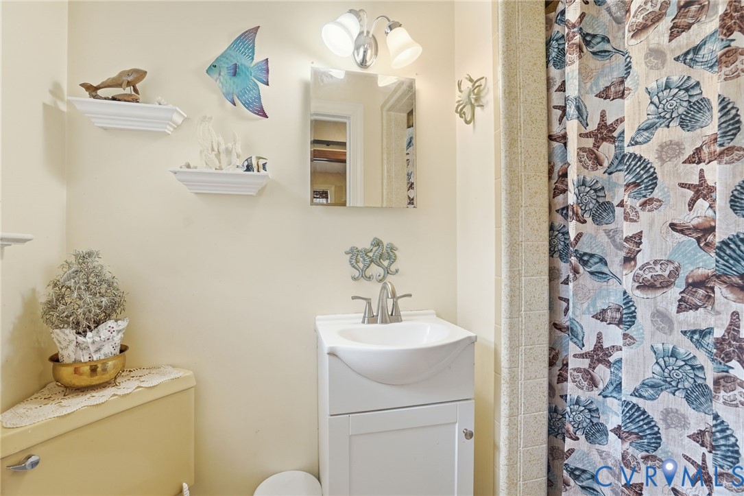 11016 Pridesville Road Amelia Court House, VA 23002 - Photo 29 of 54 a bathroom with a sink a mirror and a shower curtain