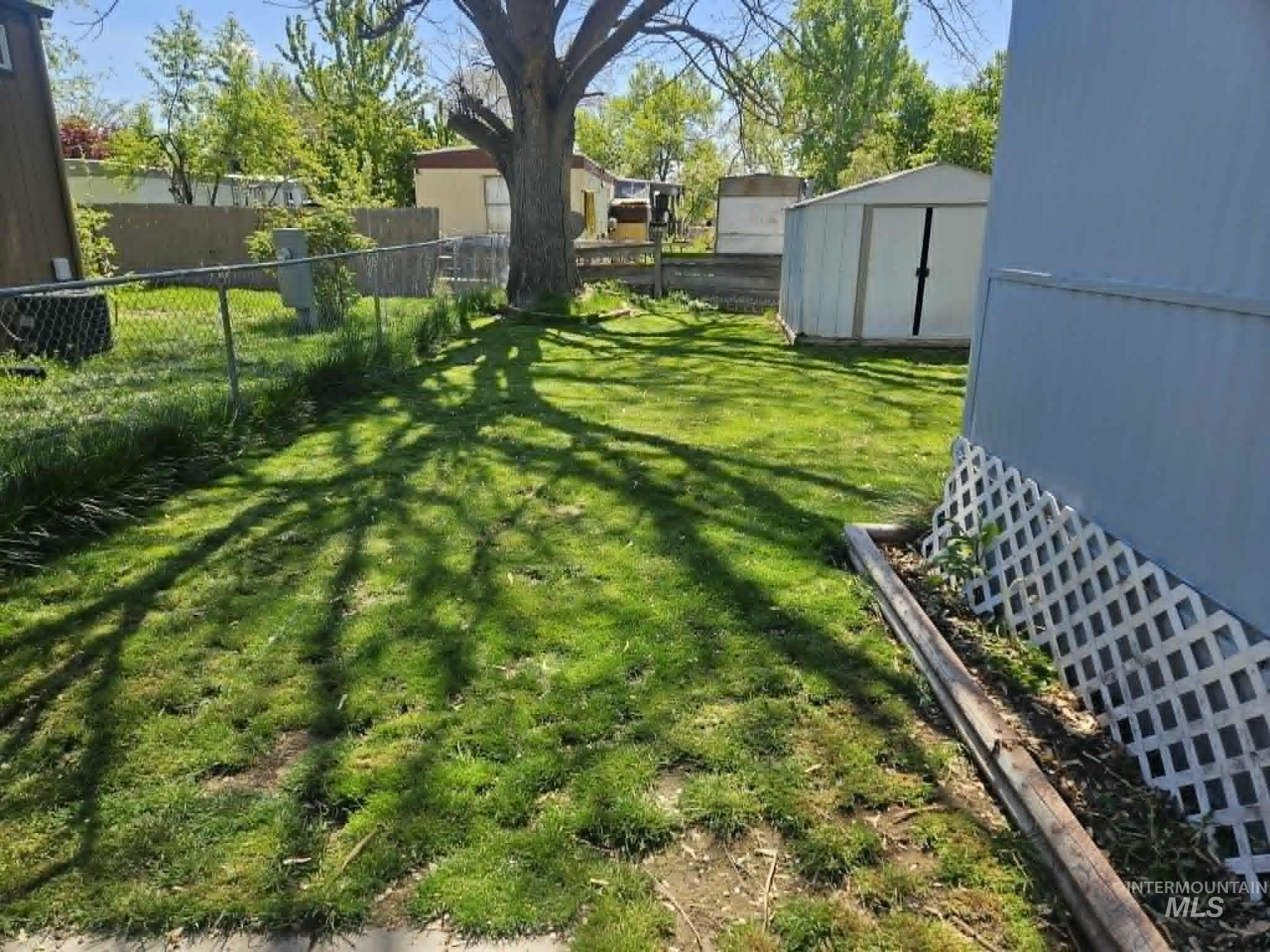461 Greenleaf Street Boise, ID 83713 - Photo 19 of 19 Expansive grassy yard featuring a prominent mature tree providing shade, a chain-link fence, and a white storage shed