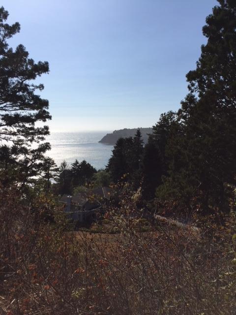 Lot #7 Baker Ranch Road Trinidad, CA 95570 - Photo 1 of 4