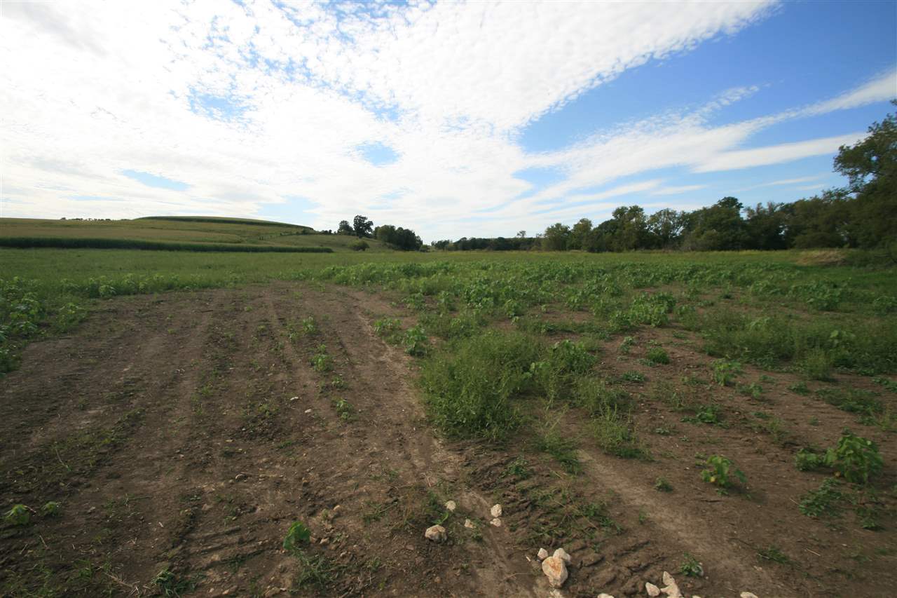 296-acres Gunder Road Postville, IA 52162 - Photo 15 of 21 Gallery Image 15