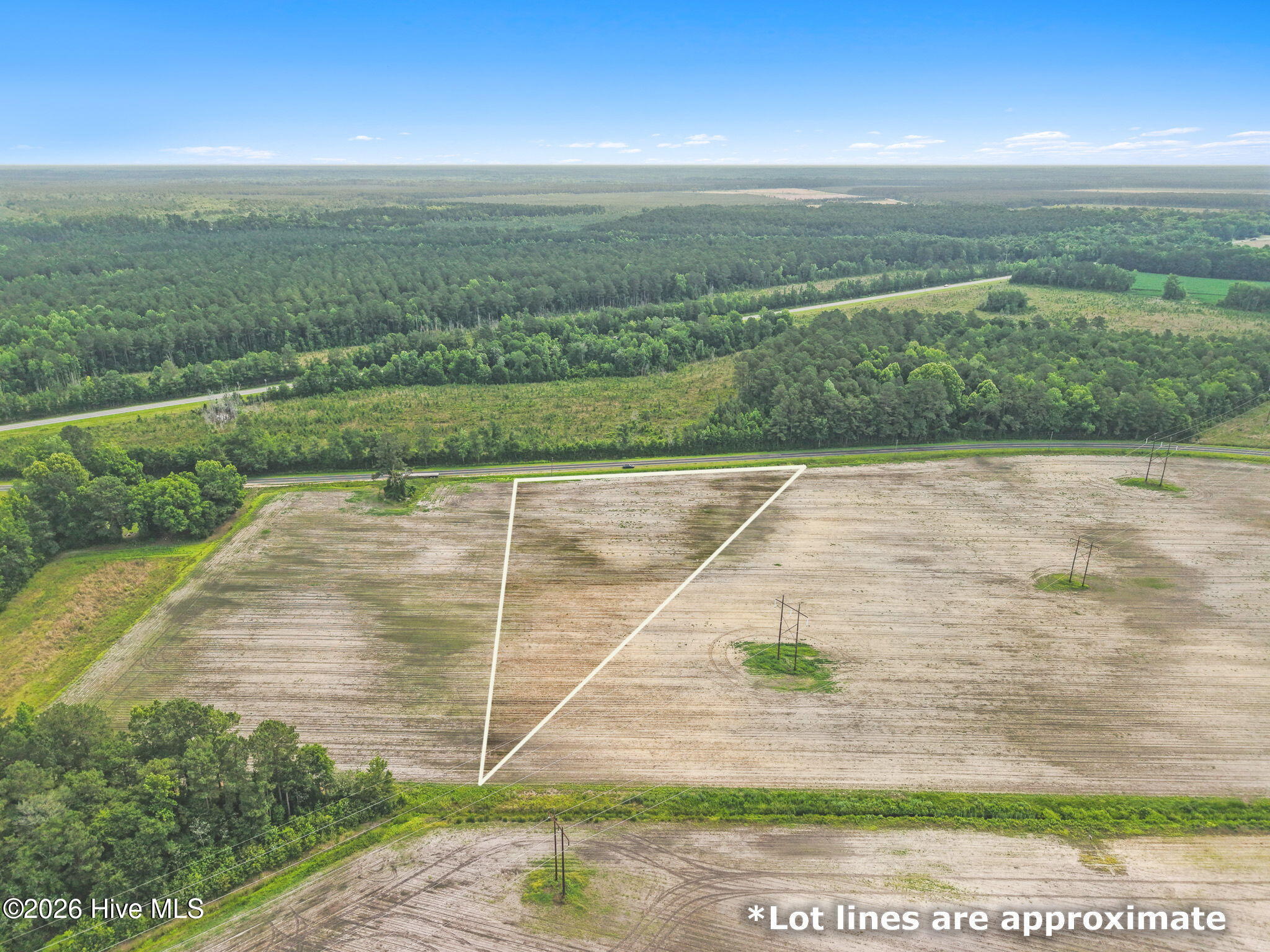 8757 Boggy Branch Road Beulaville, NC 28518 - Photo 14 of 16