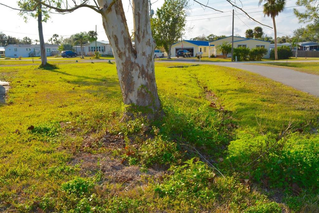 11854 Southwest Loop Terrace Arcadia, FL 34269 - Photo 10 of 16