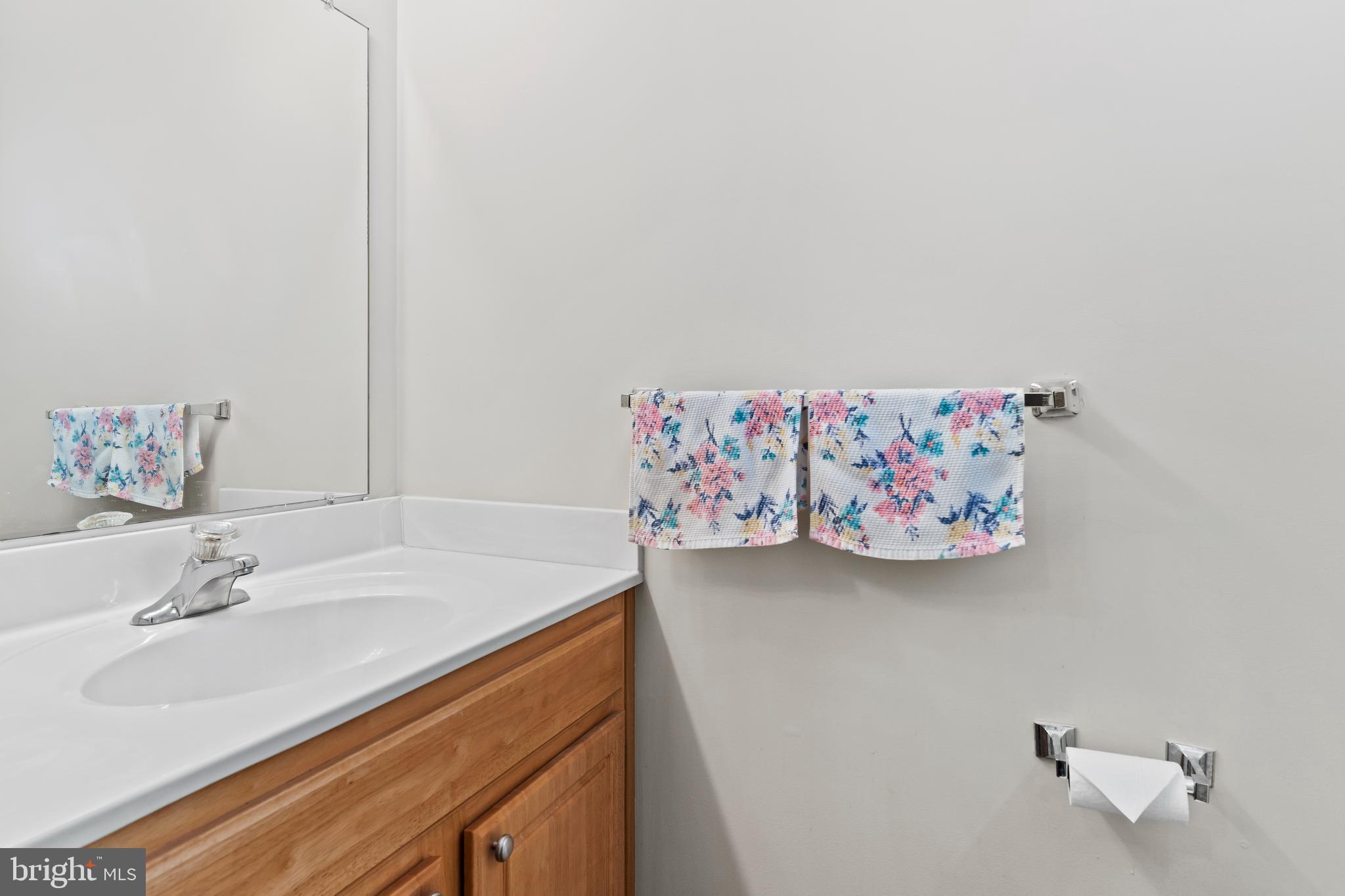 149 Cardinal Lane Hummelstown, PA 17036 - Photo 13 of 28 a bathroom with a sink and a mirror