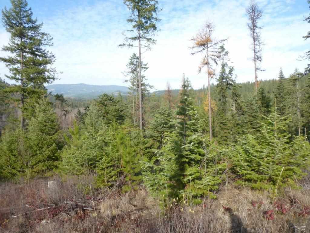 Xx Lot #3 B Xx Road Chewelah, WA 99109 - Photo 1 of 6 Gallery Image 1