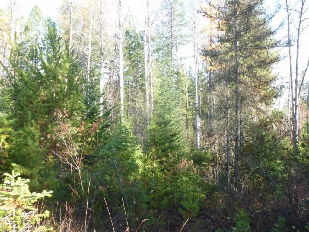 Xx Lot #3 B Xx Road Chewelah, WA 99109 - Photo 3 of 6 Gallery Image 3