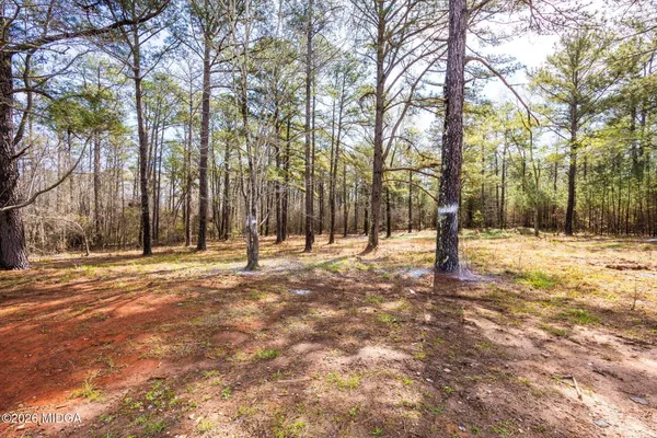 a view of a backyard with large trees