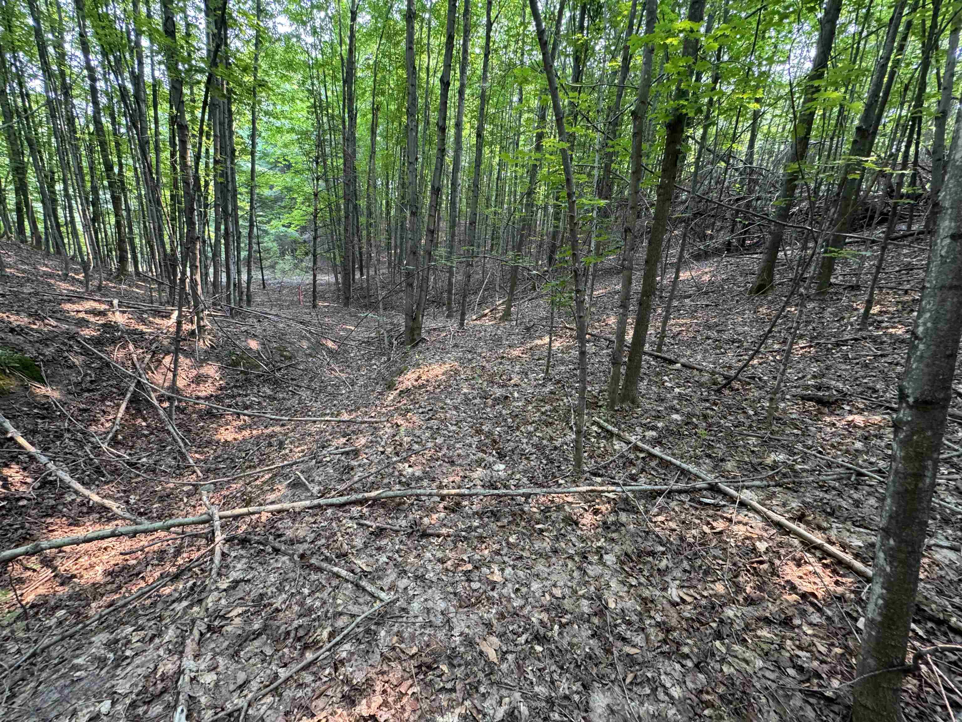Lot #3 East Bellinger Road, Unit BELLINGER ESTATES Cedar, MI 49621 - Photo 8 of 15