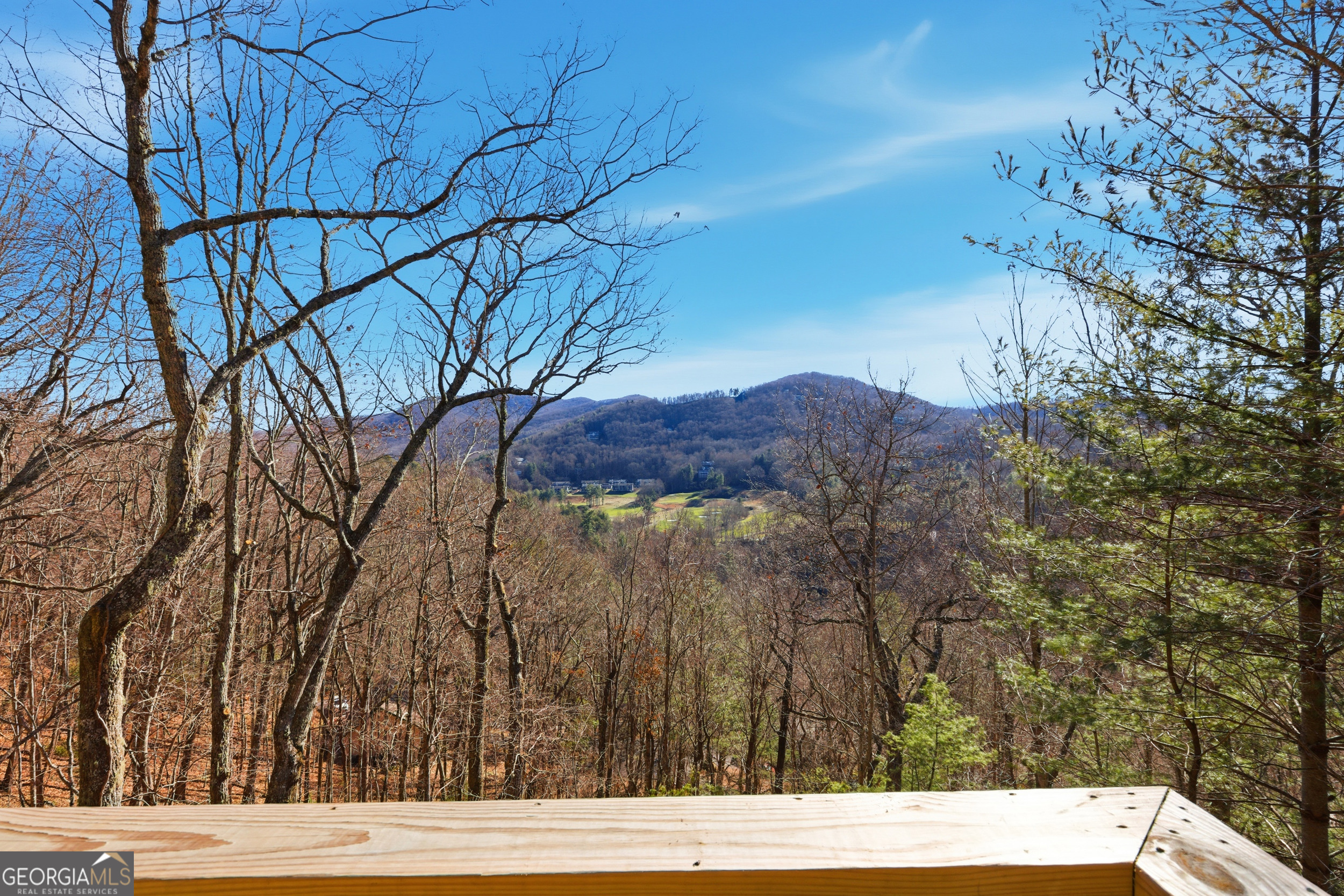 291 Saddle Back Circle Sky Valley, GA 30537 - Photo 24 of 27