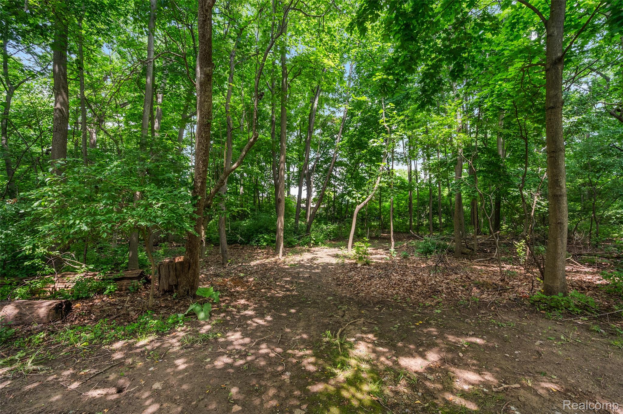 930 Little Hill Court Rochester, MI 48307 - Photo 13 of 38 Wooded lot featuring mature trees, natural ground cover, and dappled sunlight