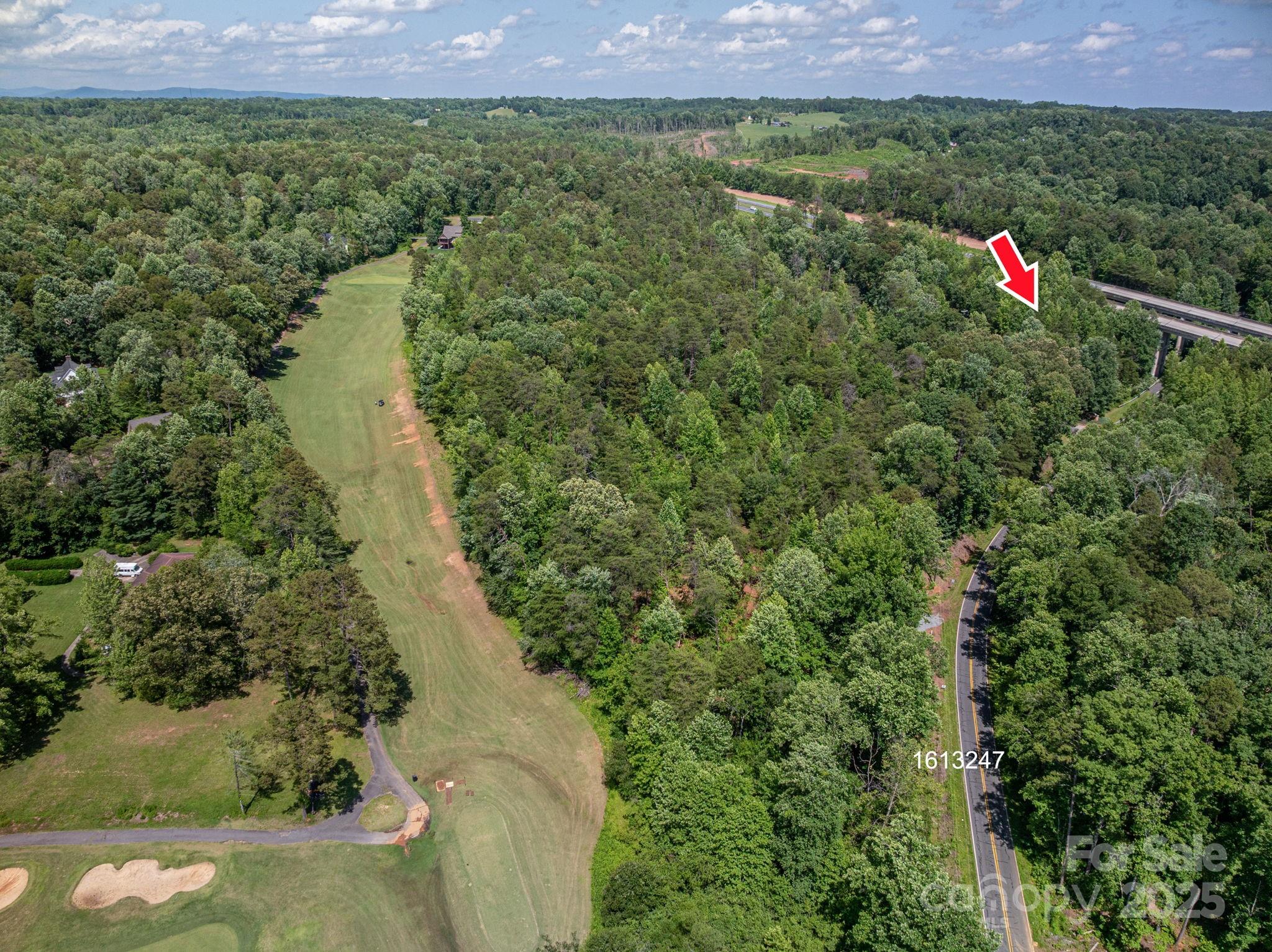 Lot #6 Cleghorn Mill Road Rutherfordton, NC 28139 - Photo 21 of 26