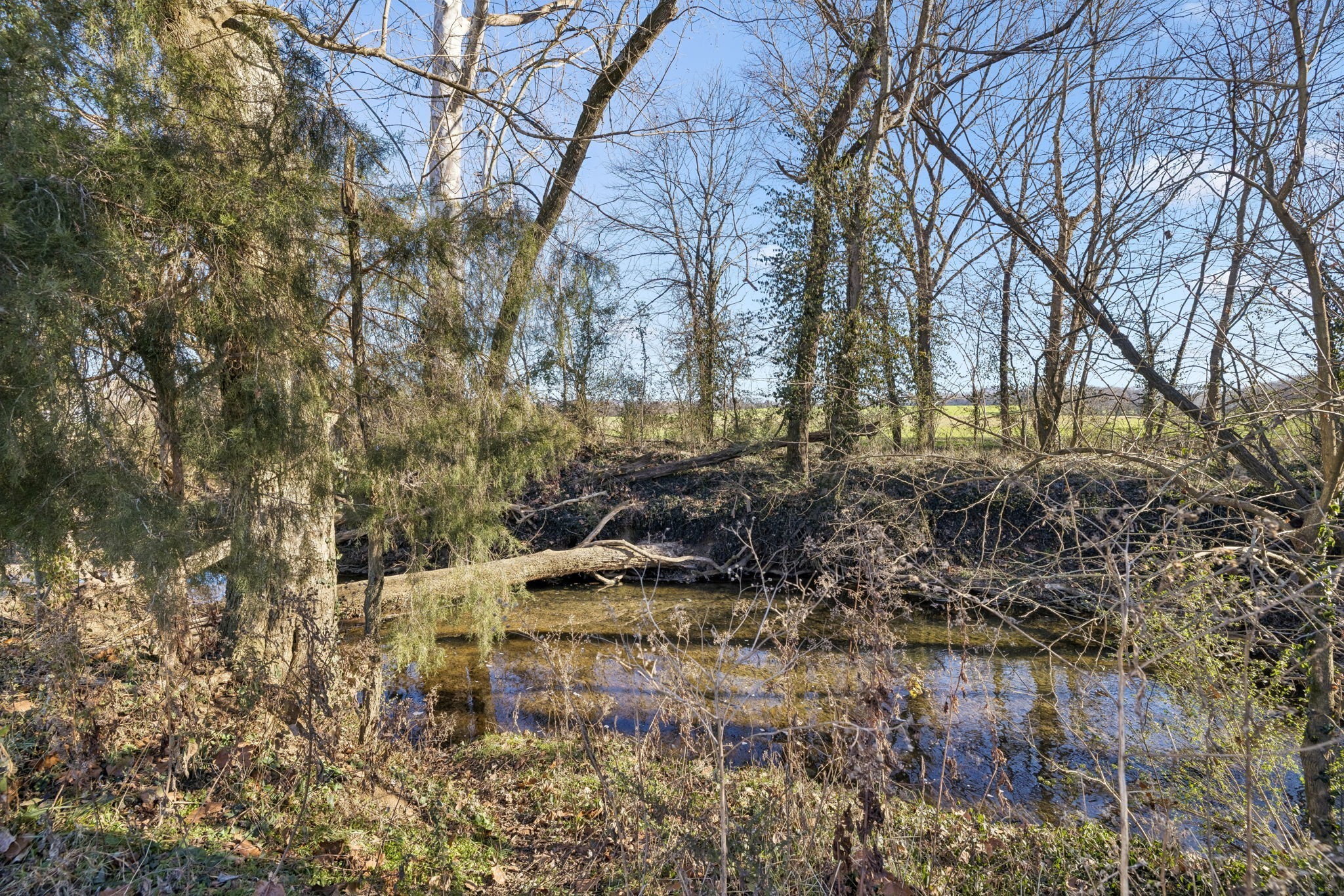 0 Buck Matthews Road Culleoka, TN 38451 - Photo 11 of 69 a backyard of a house with lots of green space