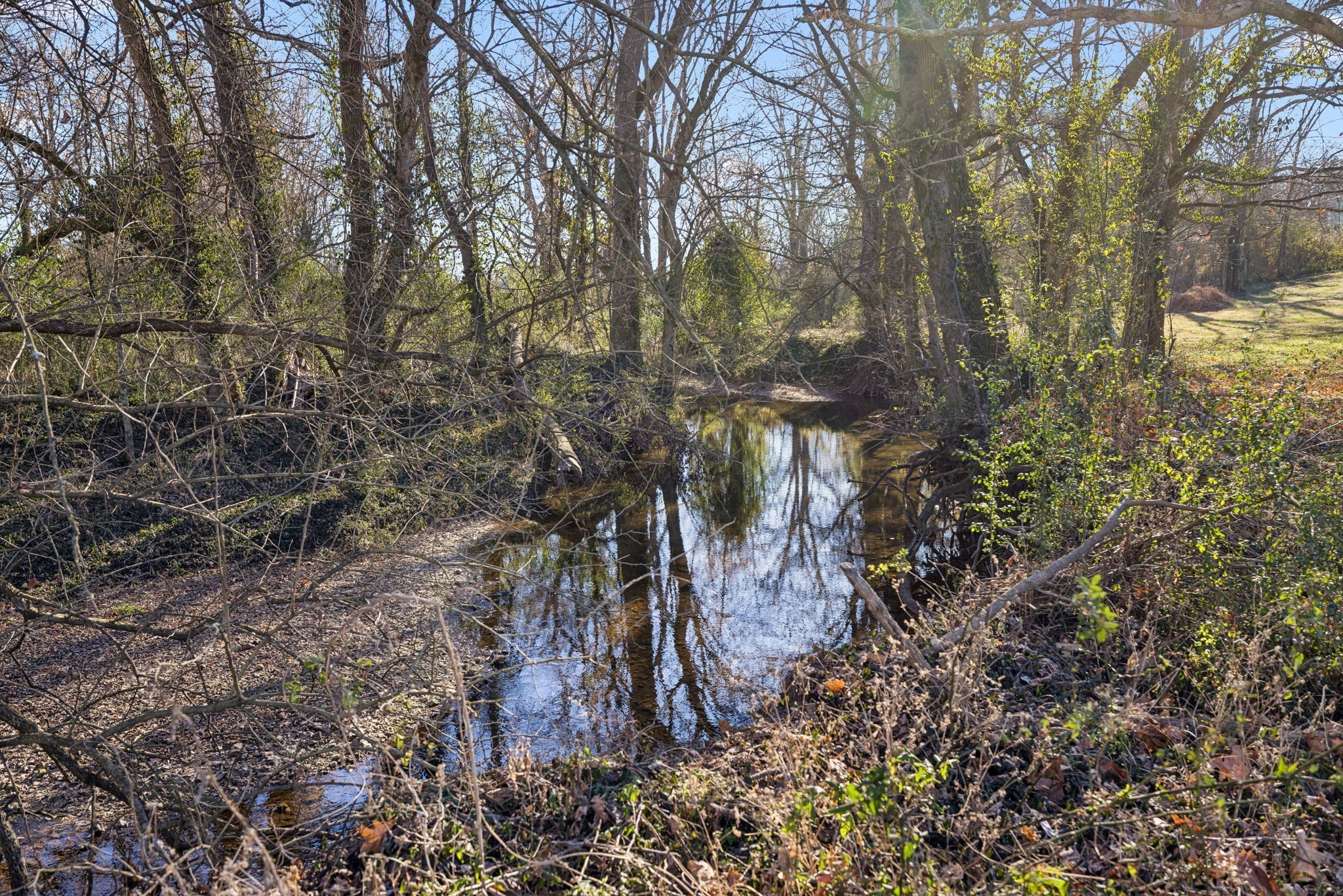 0 Buck Matthews Road Culleoka, TN 38451 - Photo 12 of 69 a backyard of a house with lots of trees